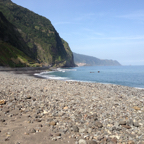 IMG_1374.JPG