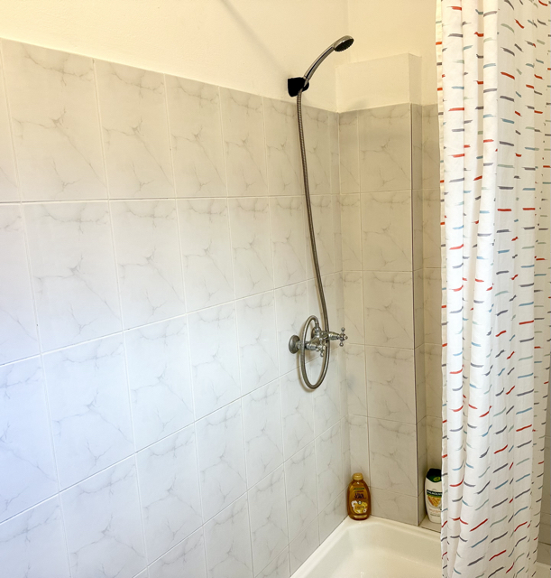 The shower